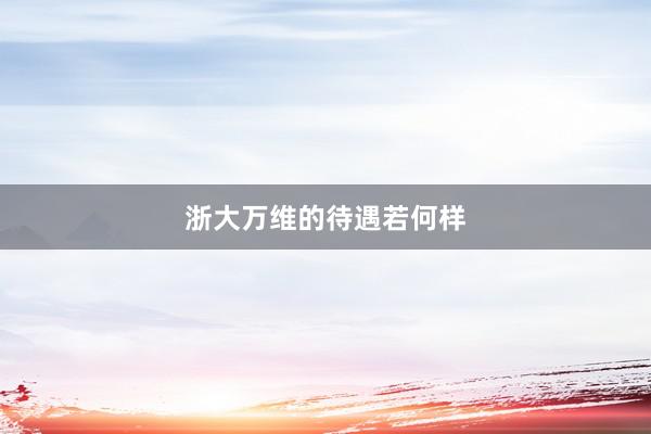 浙大万维的待遇若何样